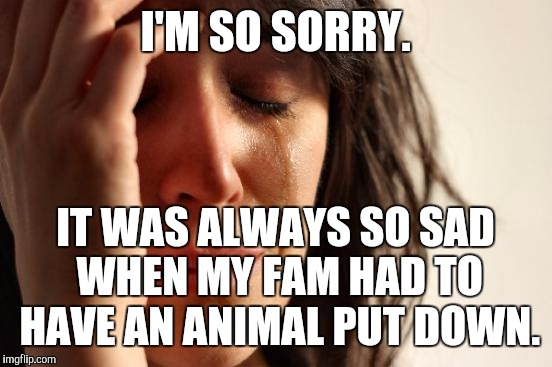 First World Problems Meme | I'M SO SORRY. IT WAS ALWAYS SO SAD WHEN MY FAM HAD TO HAVE AN ANIMAL PUT DOWN. | image tagged in memes,first world problems | made w/ Imgflip meme maker