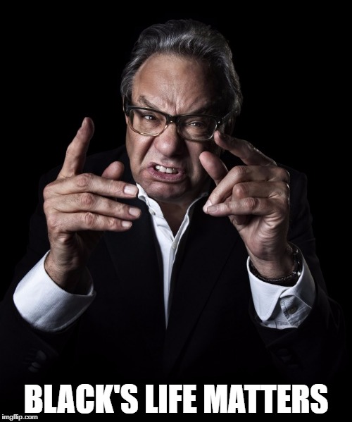 Can we all agree on this at least? | BLACK'S LIFE MATTERS | image tagged in lewis black,blm,black lives matter | made w/ Imgflip meme maker