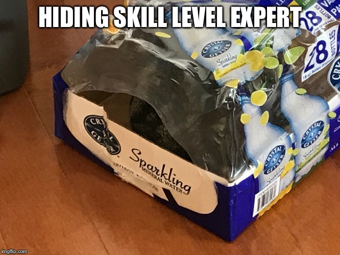 HIDING SKILL LEVEL EXPERT | made w/ Imgflip meme maker