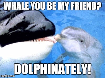 :D :D :D :D | WHALE YOU BE MY FRIEND? DOLPHINATELY! | image tagged in funny,animals,humor,friends,humour,memes | made w/ Imgflip meme maker