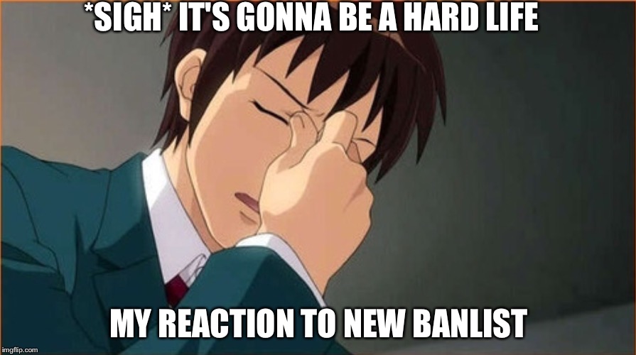 Sigh | *SIGH* IT'S GONNA BE A HARD LIFE; MY REACTION TO NEW BANLIST | image tagged in yugioh | made w/ Imgflip meme maker