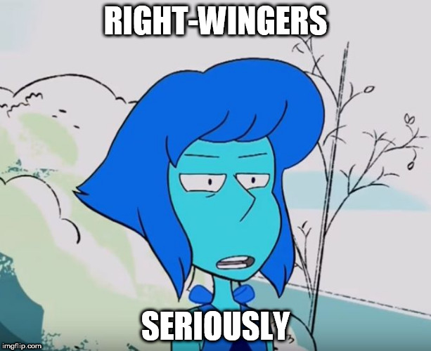RIGHT-WINGERS; SERIOUSLY | image tagged in x seriously,right wing,rightists,rightist,conservative,conservatives | made w/ Imgflip meme maker
