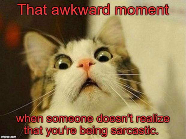 It happens to all of us.  | That awkward moment; when someone doesn't realize that you're being sarcastic. | image tagged in memes,scared cat | made w/ Imgflip meme maker