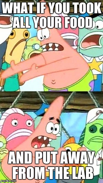 Put It Somewhere Else Patrick | WHAT IF YOU TOOK ALL YOUR FOOD; AND PUT AWAY FROM THE LAB | image tagged in memes,put it somewhere else patrick | made w/ Imgflip meme maker