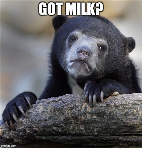 Confession Bear Meme | GOT MILK? | image tagged in memes,confession bear | made w/ Imgflip meme maker