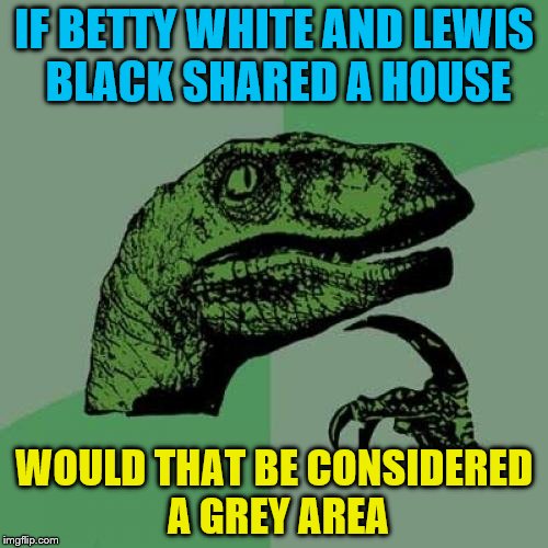 Philosoraptor Meme | IF BETTY WHITE AND LEWIS BLACK SHARED A HOUSE; WOULD THAT BE CONSIDERED A GREY AREA | image tagged in memes,philosoraptor | made w/ Imgflip meme maker