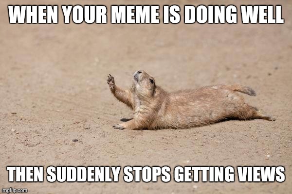 So Close | WHEN YOUR MEME IS DOING WELL; THEN SUDDENLY STOPS GETTING VIEWS | image tagged in so close | made w/ Imgflip meme maker