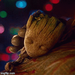night night groot book