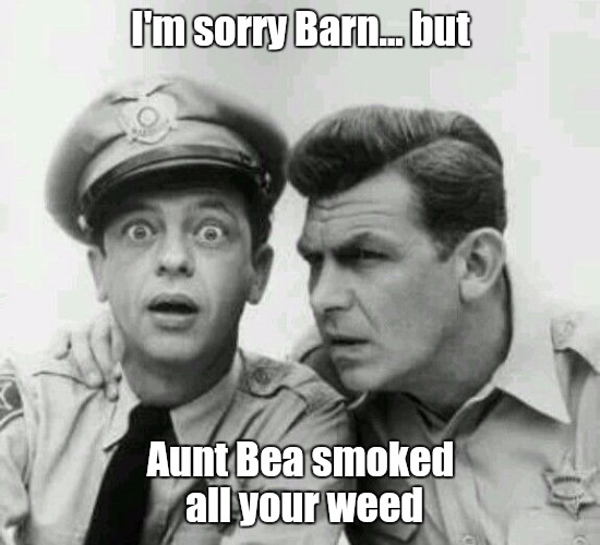 Sorry Barney.. | I'm sorry Barn... but; Aunt Bea smoked all your weed | image tagged in memes,barney fife,weed,andy griffith,reaction,sorry barney... | made w/ Imgflip meme maker