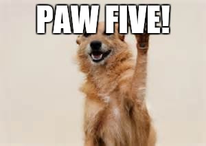 Dog paw | PAW FIVE! | image tagged in dog paw | made w/ Imgflip meme maker