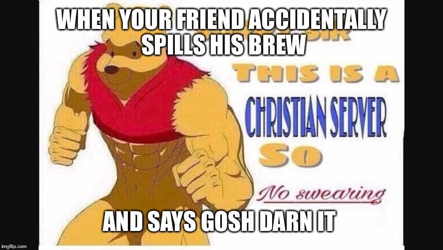 WHEN YOUR FRIEND ACCIDENTALLY SPILLS HIS BREW; AND SAYS GOSH DARN IT | image tagged in memes | made w/ Imgflip meme maker