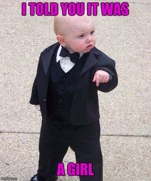 Baby Godfather Meme | I TOLD YOU IT WAS; A GIRL | image tagged in memes,baby godfather | made w/ Imgflip meme maker