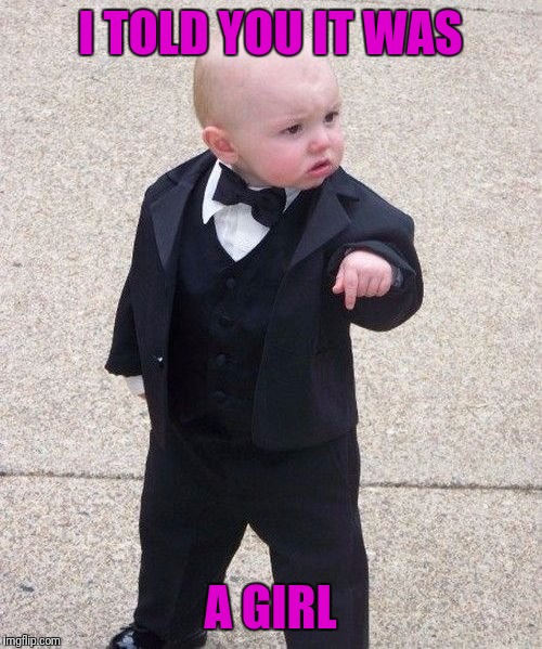 Baby Godfather | I TOLD YOU IT WAS; A GIRL | image tagged in memes,baby godfather | made w/ Imgflip meme maker