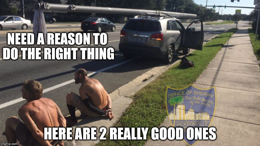 The Reasons | NEED A REASON TO DO THE RIGHT THING; HERE ARE 2 REALLY GOOD ONES | image tagged in the reason,thing 1 and 2,numbskulls,2 stooges,dumb and dumber,special kind of stupid | made w/ Imgflip meme maker