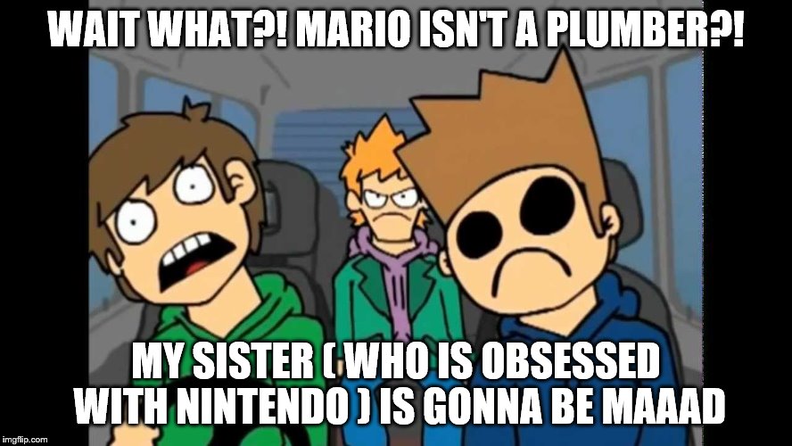 WAIT WHAT?! MARIO ISN'T A PLUMBER?! MY SISTER ( WHO IS OBSESSED WITH NINTENDO ) IS GONNA BE MAAAD | made w/ Imgflip meme maker