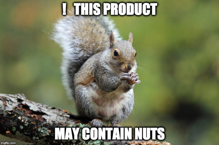!   THIS PRODUCT; MAY CONTAIN NUTS | image tagged in product warning,nuts,squirrel | made w/ Imgflip meme maker