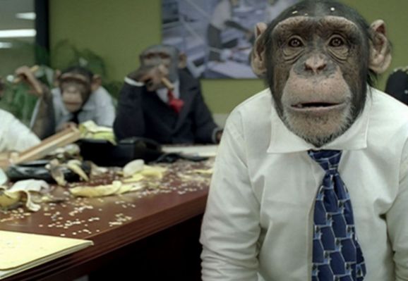 High Quality office monkeys Blank Meme Template