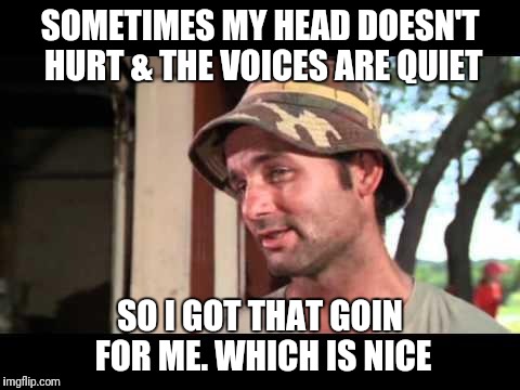 caddy shack | SOMETIMES MY HEAD DOESN'T HURT & THE VOICES ARE QUIET; SO I GOT THAT GOIN FOR ME. WHICH IS NICE | image tagged in caddy shack | made w/ Imgflip meme maker