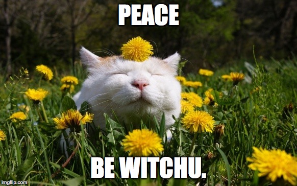 PEACE BE WITCHU. | made w/ Imgflip meme maker