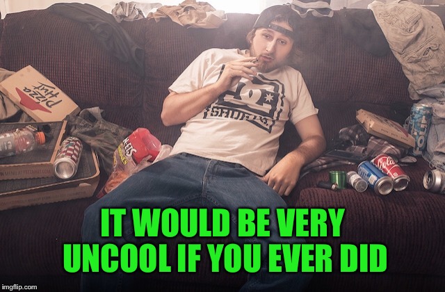 Stoner on couch | IT WOULD BE VERY UNCOOL IF YOU EVER DID | image tagged in stoner on couch | made w/ Imgflip meme maker