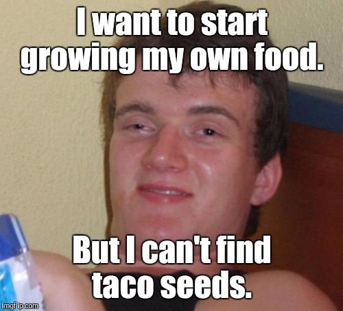 10 Guy Meme | I want to start growing my own food. But I can't find taco seeds. | image tagged in memes,10 guy | made w/ Imgflip meme maker
