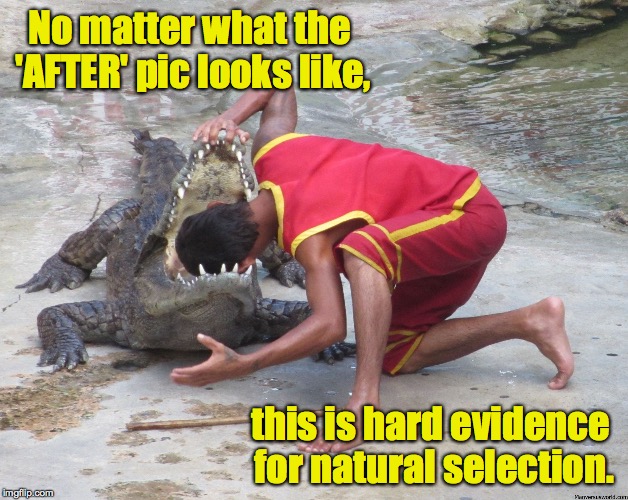 From 'Evolution: A Beginner's Guide and Picture Book' | No matter what the 'AFTER' pic looks like, this is hard evidence for natural selection. | image tagged in memes,evolution,natural selection | made w/ Imgflip meme maker