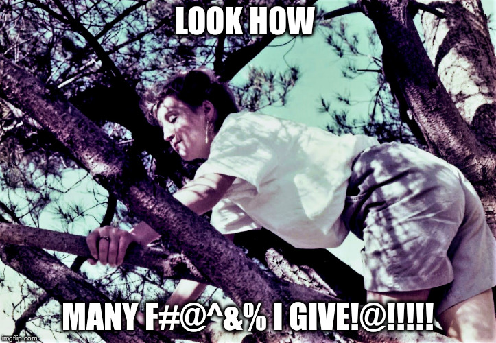 LOOK HOW; MANY F#@^&% I GIVE!@!!!!! | image tagged in look | made w/ Imgflip meme maker