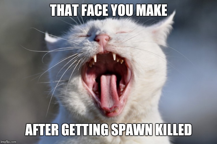 THAT FACE YOU MAKE AFTER GETTING SPAWN KILLED | made w/ Imgflip meme maker
