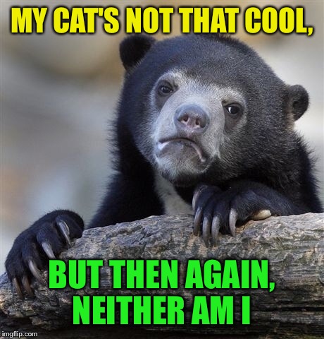 Confession Bear Meme | MY CAT'S NOT THAT COOL, BUT THEN AGAIN, NEITHER AM I | image tagged in memes,confession bear | made w/ Imgflip meme maker