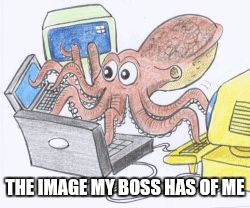 octopus | THE IMAGE MY BOSS HAS OF ME | image tagged in octopus | made w/ Imgflip meme maker