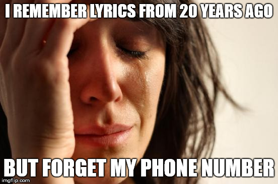 First World Problems Meme | I REMEMBER LYRICS FROM 20 YEARS AGO BUT FORGET MY PHONE NUMBER | image tagged in memes,first world problems | made w/ Imgflip meme maker
