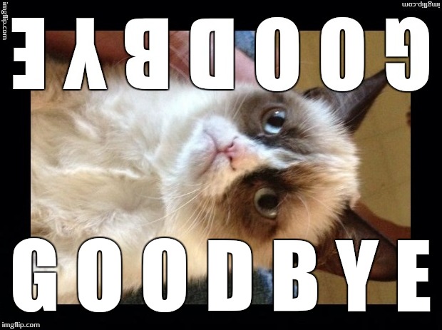 Grumpy Cat Welcome Mat | G O O D B Y E | image tagged in memes,grumpy cat,welcome mat,goodbye | made w/ Imgflip meme maker