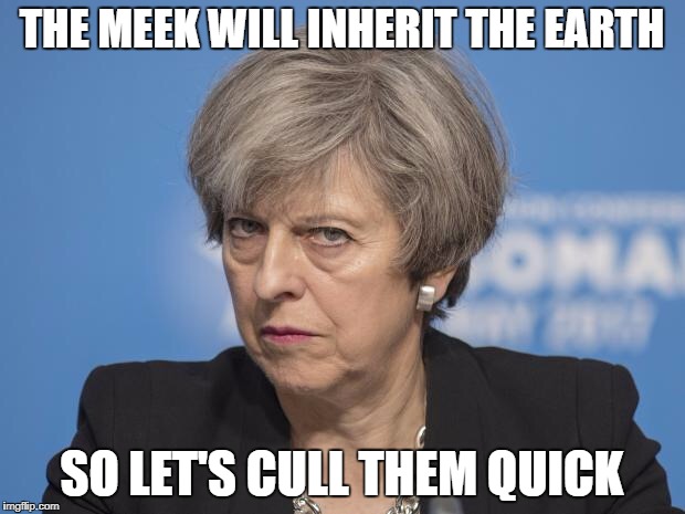 Theresa May | THE MEEK WILL INHERIT THE EARTH; SO LET'S CULL THEM QUICK | image tagged in theresa may | made w/ Imgflip meme maker