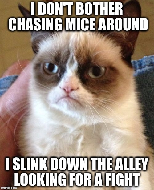 Grumpy Cat Meme | I DON'T BOTHER CHASING MICE AROUND I SLINK DOWN THE ALLEY LOOKING FOR A FIGHT | image tagged in memes,grumpy cat | made w/ Imgflip meme maker