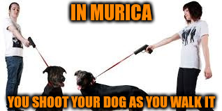 IN MURICA YOU SHOOT YOUR DOG AS YOU WALK IT | made w/ Imgflip meme maker