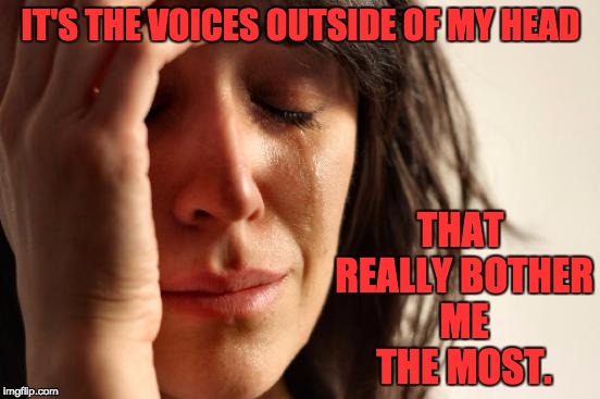 First World Problems Meme | IT'S THE VOICES OUTSIDE OF MY HEAD; THAT REALLY BOTHER ME THE MOST. | image tagged in memes,first world problems | made w/ Imgflip meme maker