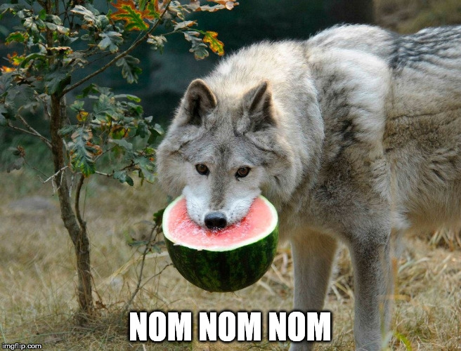 NOM NOM NOM | made w/ Imgflip meme maker