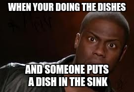 Kevin Hart Meme | WHEN YOUR DOING THE DISHES; AND SOMEONE PUTS A DISH IN THE SINK | image tagged in memes,kevin hart the hell | made w/ Imgflip meme maker