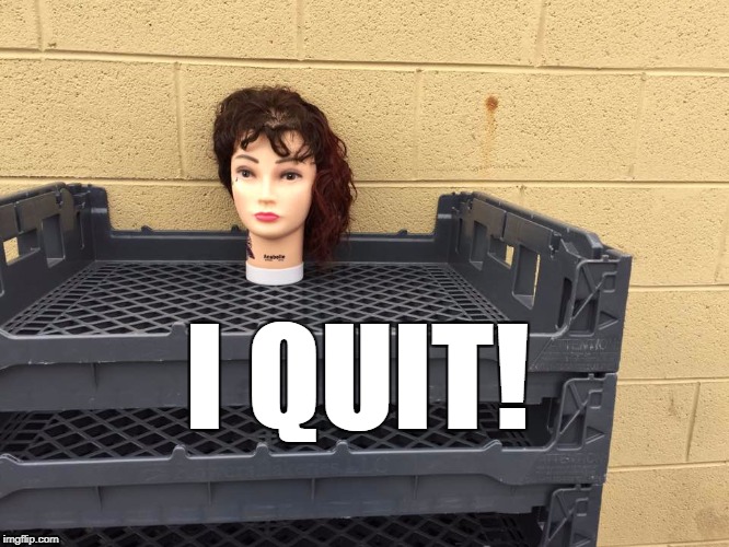 Hint:  "While..." | I QUIT! | image tagged in quit,head,ahead | made w/ Imgflip meme maker