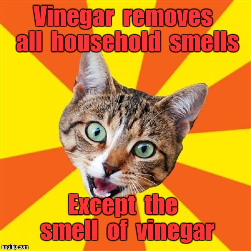 Bad Advice Cat Meme |  Vinegar  removes  all  household  smells; Except  the  smell  of  vinegar | image tagged in memes,bad advice cat | made w/ Imgflip meme maker