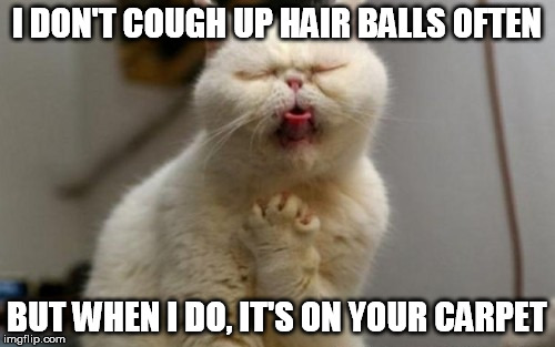 I DON'T COUGH UP HAIR BALLS OFTEN BUT WHEN I DO, IT'S ON YOUR CARPET | made w/ Imgflip meme maker