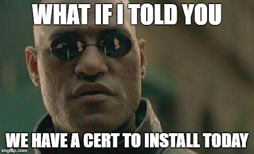 Matrix Morpheus Meme | WHAT IF I TOLD YOU; WE HAVE A CERT TO INSTALL TODAY | image tagged in memes,matrix morpheus | made w/ Imgflip meme maker