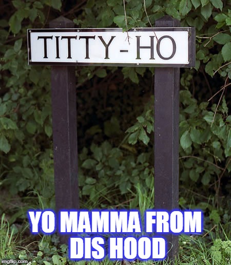 titty ho | YO MAMMA FROM DIS HOOD | image tagged in titty ho,yo mama | made w/ Imgflip meme maker