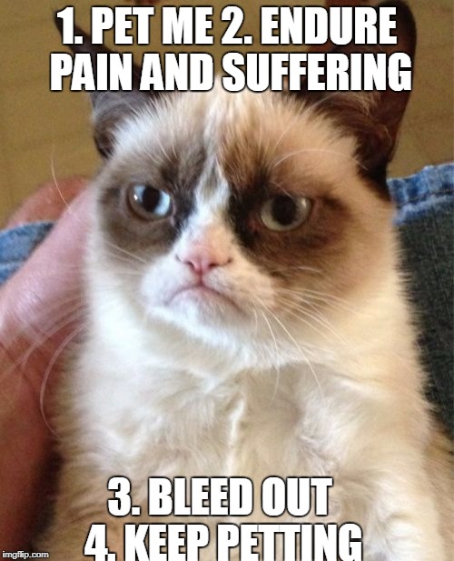 How to Pet Grumpy Cat | 1. PET ME
2. ENDURE PAIN AND SUFFERING; 3. BLEED OUT 4. KEEP PETTING | image tagged in memes,grumpy cat | made w/ Imgflip meme maker