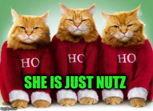 SHE IS JUST NUTZ | made w/ Imgflip meme maker