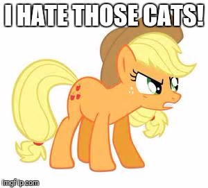 Mad AJ | I HATE THOSE CATS! | image tagged in mad aj | made w/ Imgflip meme maker