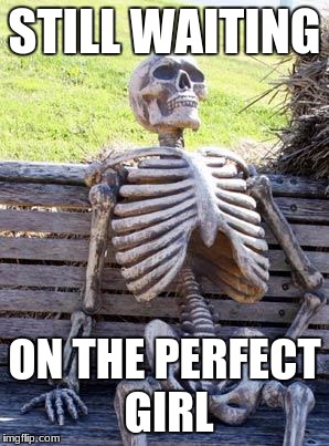 Waiting Skeleton | STILL WAITING; ON THE PERFECT GIRL | image tagged in memes,waiting skeleton | made w/ Imgflip meme maker