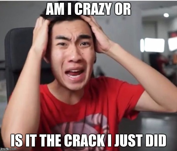 ricegum | AM I CRAZY OR; IS IT THE CRACK I JUST DID | image tagged in ricegum | made w/ Imgflip meme maker