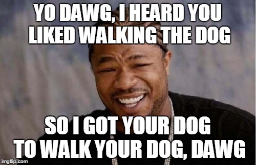 Yo Dawg Heard You Meme | YO DAWG, I HEARD YOU LIKED WALKING THE DOG SO I GOT YOUR DOG TO WALK YOUR DOG, DAWG | image tagged in memes,yo dawg heard you | made w/ Imgflip meme maker
