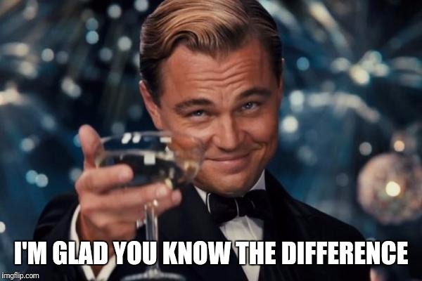 Leonardo Dicaprio Cheers Meme | I'M GLAD YOU KNOW THE DIFFERENCE | image tagged in memes,leonardo dicaprio cheers | made w/ Imgflip meme maker